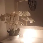 بيت للعطل Orchidea ترييستي